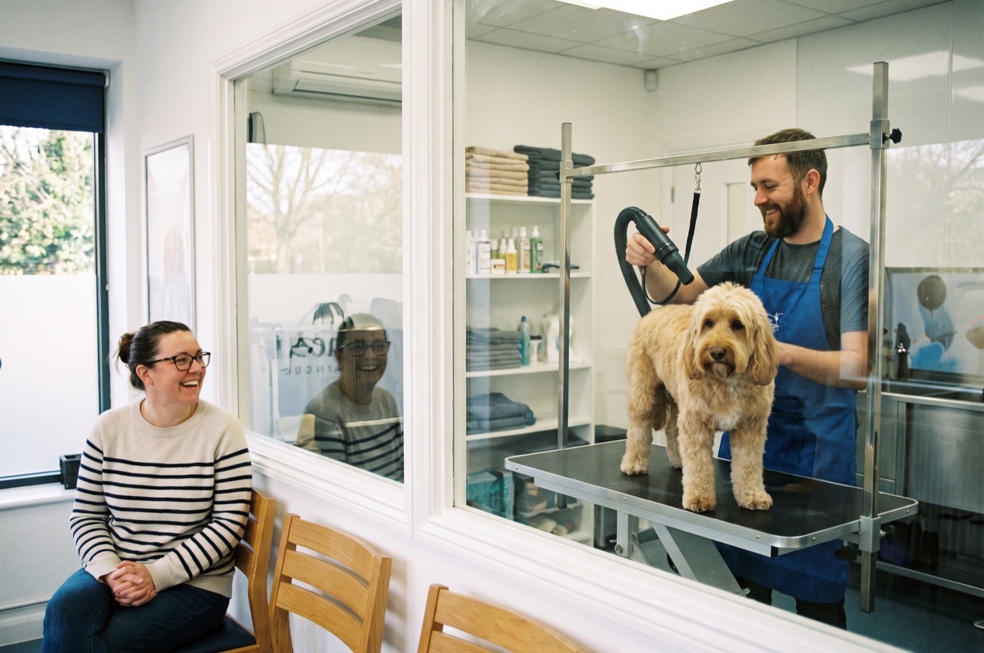 Seen through a glass partition, an owner in the waiting area watches a groomer blow-drying a golden Cockapoo on the table