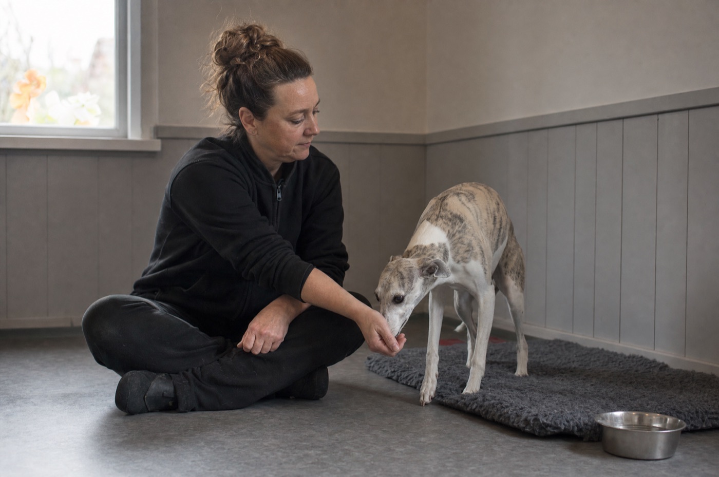 A groomer kneeling to calm a nervous dog with a treat before starting the groom