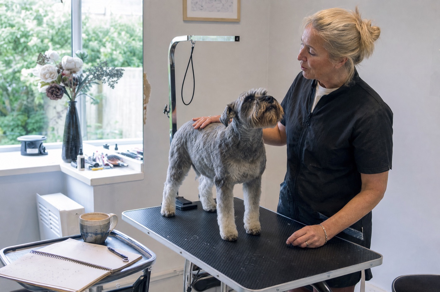 A single dog being groomed alone in a quiet room with no other animals present